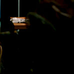 Third pic of Nicole Laliberte nude in Girls Against Boys