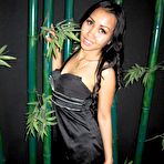 First pic of Thai Princess - Worship My Ass / Mistress of Asia