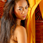 Third pic of :: Club ThaiChix.com :: High Quality Asian Porn!