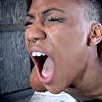 Fourth pic of SexPreviews - Nikki Darling masked in leather strap bondage and fucked by big black cock