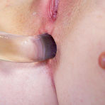 Second pic of Little Mutt Free Gallery & Video