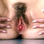 Third pic of Hairy Pussy Porno