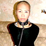 Second pic of Street Meat Asia