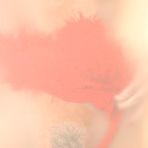 Second pic of May in Dressing in Red at Another Babe | Set clubsandy/0042