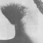 First pic of Vintage Hairy Club