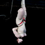 Second pic of Hair Suspension Bondage