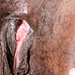 Third pic of JustNips.Com Everyday AMATEURS Totally Nude EXCLUSIVE
