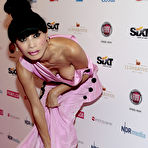 Third pic of Bai Ling