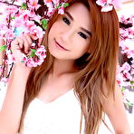 First pic of Welcome to TheBlackAlley.com!