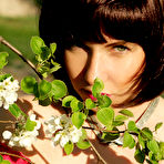 First pic of The Life Erotic - Beautiful Nude Girls