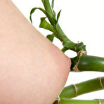 Second pic of Younger Babes Movie - Nude Photo Art Gallery, Younger Babes Art Photo