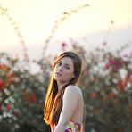 First pic of Bunny Lust - Hayley Hanes Sunset