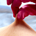 Second pic of JustNips.Com Everyday AMATEURS Totally Nude EXCLUSIVE