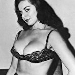 First pic of Vintage sex action in a hot retro vintage porn movie 