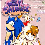 First pic of Sonic Milf Savage &ndash; Quadrinhos Er&oacute;ticos  | Revistas e Quadrinhos