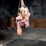 Third pic of SexPreviews - Sasha Heart blonde submissive is rope bound toyed and spanked by Jack Hammer