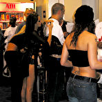 Second pic of ElegantAngel.com :: Jenna Haze 