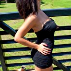 Fourth pic of Bunny Lust - Shami Halil Black Dress