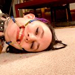 Fourth pic of Chubby Facebondage