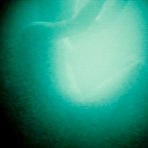 Second pic of Delphine Chaneac naked scenes from Splice