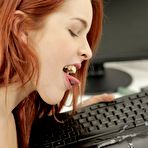 Fourth pic of Amarna Miller movies and pictures at We Like To Suck