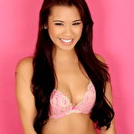 First pic of Ashley P Cute Newcomer Vixen - Bunny Lust