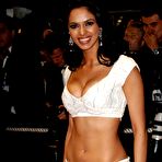 First pic of Busty Mallika Sherawat shows deep cleavage at premiere