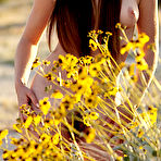 Third pic of Carol Willis: Babe with hairy twat @ Playboy - XNSFW.COM