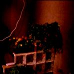 Third pic of Neve Campbell Nude In Shower Movie Scenes - Only Good Bits - free pictures of Neve Campbell Nude In Shower Movie Scenes 
nude