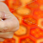 Second pic of Close-up gallery from Abby Winters...
