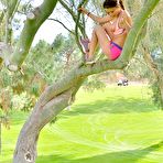 Third pic of FTV Girls - First Time Video - Hot amateur models start in the adult biz!