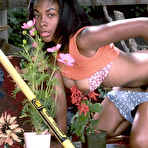 Second pic of karups private collection