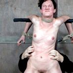 Third pic of SexPreviews - Bonnie Day is rope tied her nipples clamped and pussy vibrated to orgasm