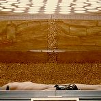 First pic of Milla Jovovich nude tits in The Fifth Element