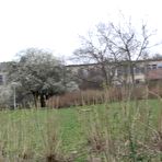 First pic of PinkFineArt | Pissing On Public Path from Got2Pee