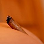 Fourth pic of Jena Kay Ricci: Jena Kay Ricci smoking a... - BabesAndStars.com