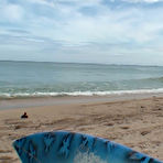 First pic of Surfs Up - The Official Free Porn Video and Pictures by the Reality Kings