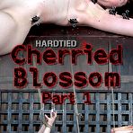 First pic of SexPreviews - Blossom teen brunette is bound in rope her cherrie vibrated to orgasm by lezdom