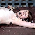 Third pic of SexPreviews - Blossom teen brunette is bound in rope her cherrie vibrated to orgasm by lezdom