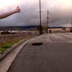 First pic of Lily LaBeau: Lily LaBeau catches a ride... - BabesAndStars.com