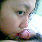 Second pic of Asian Blowjobs