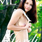 First pic of PinkFineArt | Mila M in Jordi from Met-Art