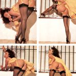 Fourth pic of Retro Babes