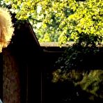 First pic of Evelyne Brochu nude in Cafe de Flore