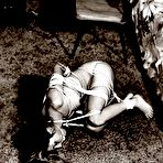 First pic of VINTAGE CUTIES