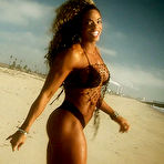 First pic of Female Hard Body - Only the hottest bodybuilders in their first time ever sexy video shoots!