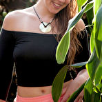 First pic of Dharma Webb Say Yes Zishy - Bunny Lust