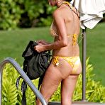 Second pic of ::: Paparazzi filth ::: Janice Dickinson gallery @ All-Nude-Celebs.us nude and naked celebrities