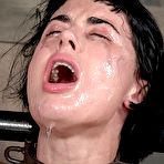 Second pic of SexPreviews - Olive Glass in black stockings is bound for full sexually treatment in dungeon