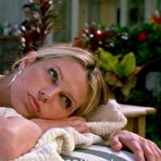 First pic of :: Sara Foster naked photos :: Free nude celebrities.